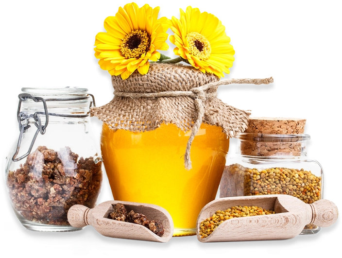 Apiterapi Nedir? Doğanın Armağanı Arı Ürünleri