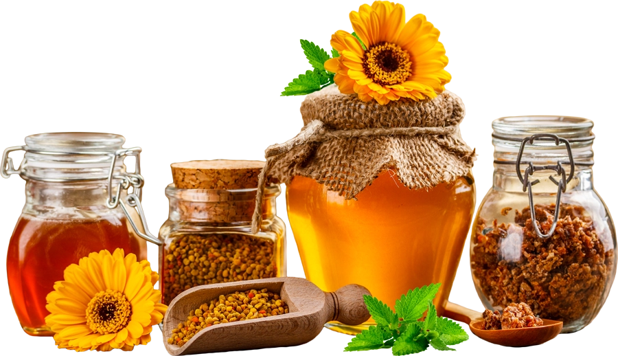 Arıların Varlığını Tehdit Eden Faktörler